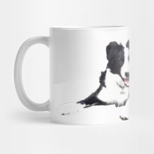 Border Collie on a white background Mug